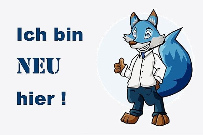 Beitrag Fuchs 1